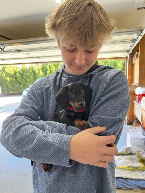 Daniel Herman.'s puppy